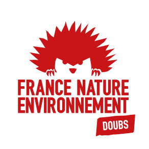 fne