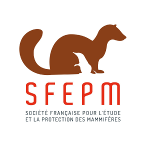 sfepm